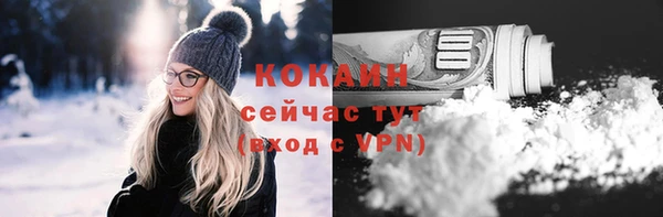 сатива Абинск