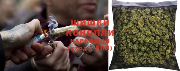 сатива Абинск