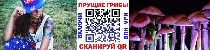 купить закладку Яблоновский darknet наркотические препараты Псилоцибиновые грибы MAGIC MUSHROOMS