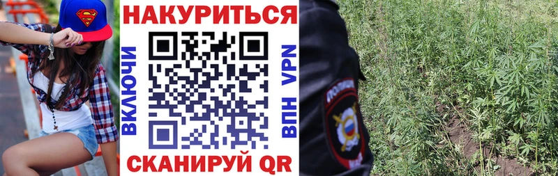 Шишки марихуана конопля Яблоновский